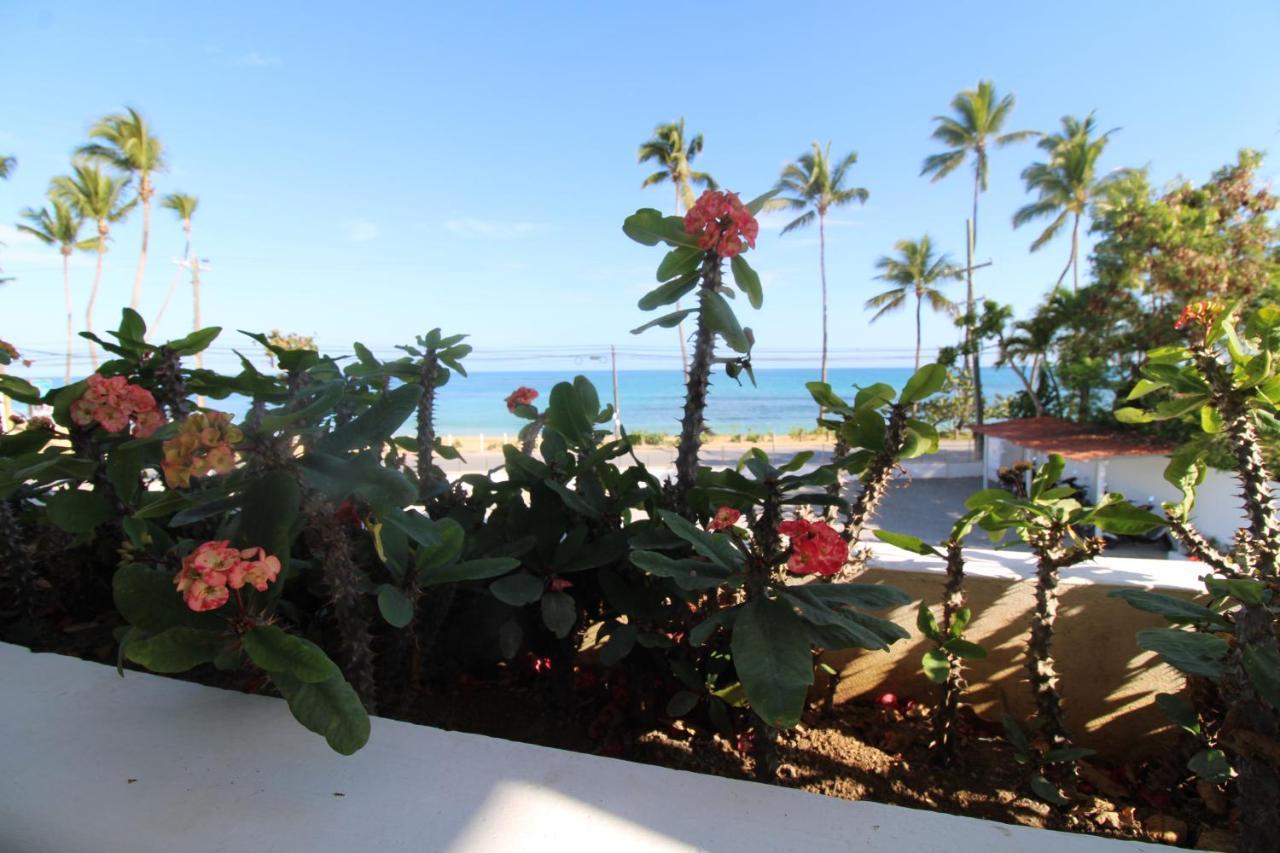 Albachiara Hotel - ลาสแตร์เรนาส ภายนอก รูปภาพ
